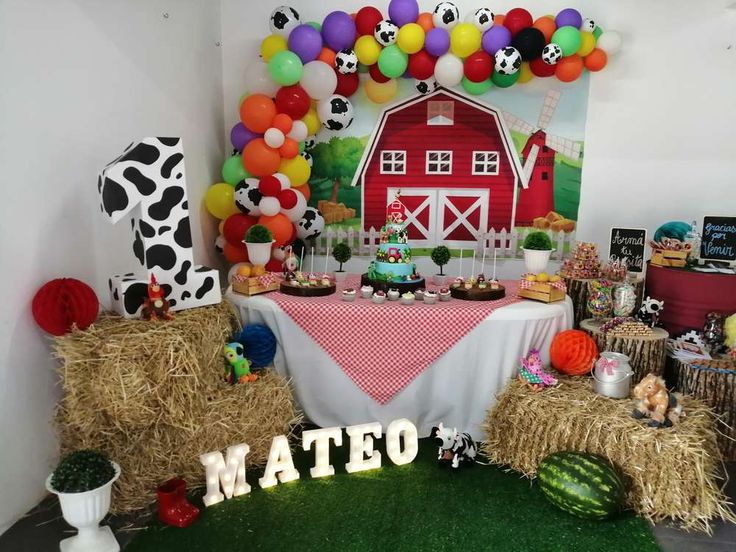 Farm Birthday Decorations for Boy